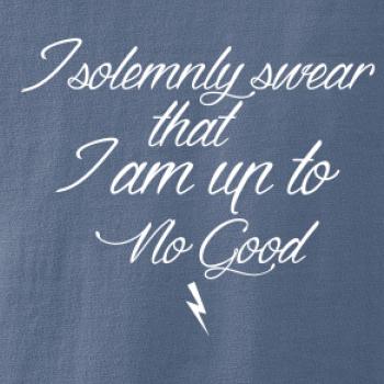 I solemnly swear that I'm up to no good I solemnly swear that I'm up to no good