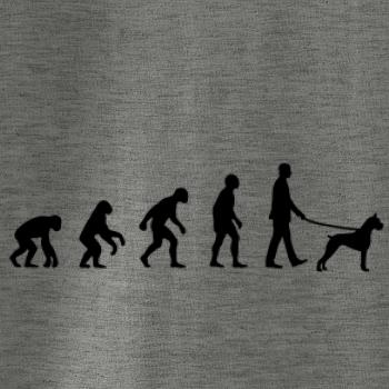 Evolúcia pes boxer (muž-žena)
