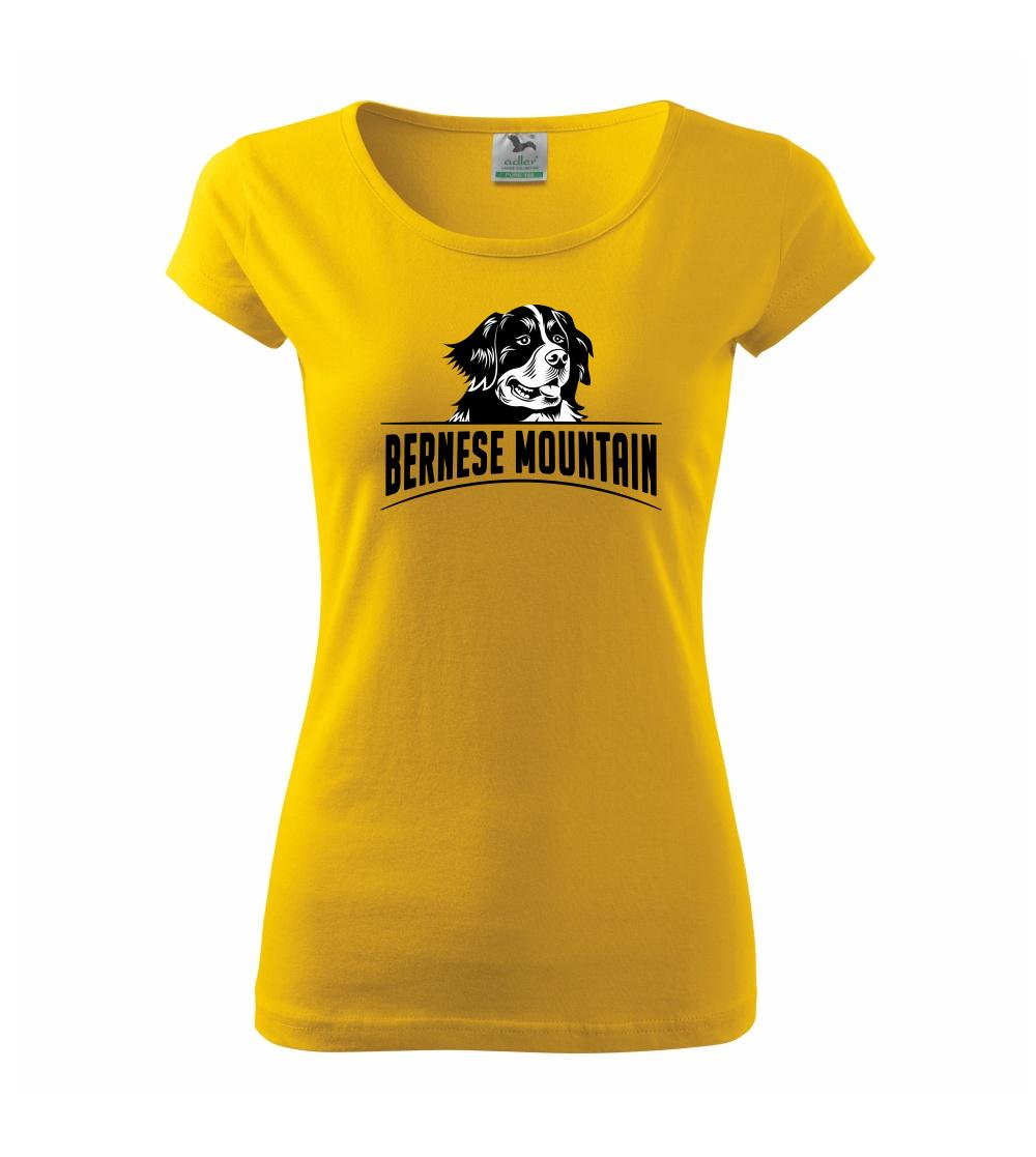 Bernese mountain - hlava a nápis