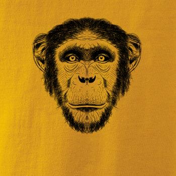 Opica kresba Opica kresba