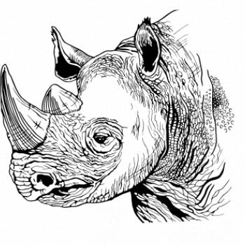 Nosorožec čiernobiely (Pecka design)