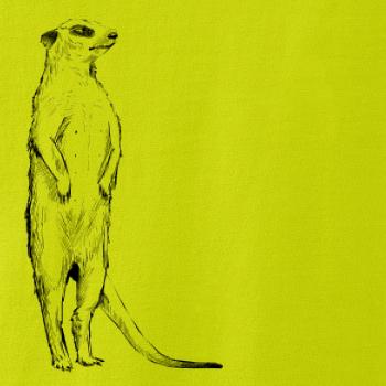 Surikata čierna kresba