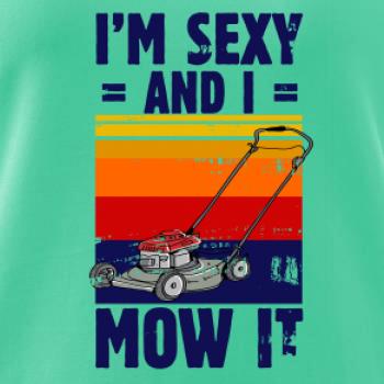 I'm sexy and i mow it I'm sexy and i mow it