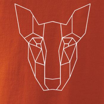 Americký Pit Bull Teriér - Geometria