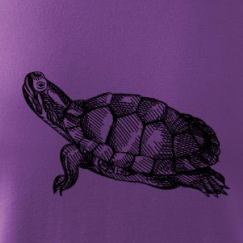 Ceruzkou kreslená korytnačka Ceruzkou kreslená korytnačka