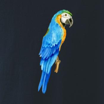Ara modrá kreslená Ara modrá kreslená
