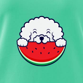 Bišónik s melónom