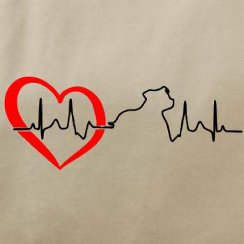 Stafordšírsky bulteriér ‎ EKG