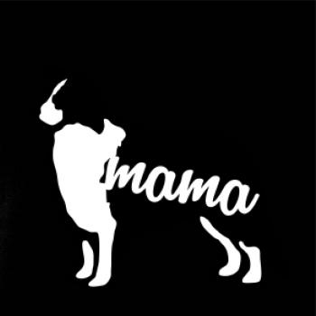 Border kolie mama obrys SK