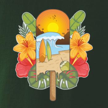 Leto, nanuk, more, pláž