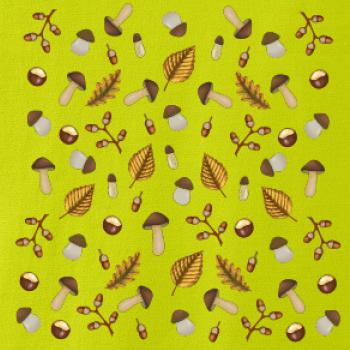 Huby na jeseň Huby na jeseň