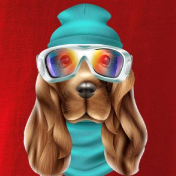 Jazvečík lyžiar   Jazvečík lyžiar