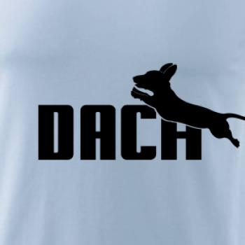 Jazvečík Dach Jazvečík Dach