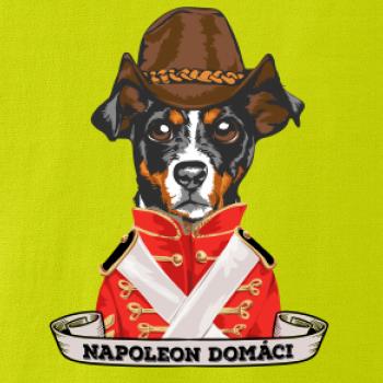 Napoleon domáci kríženec