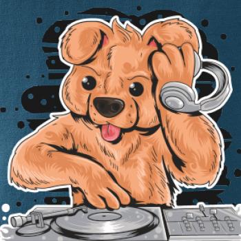 DJ Teddy