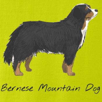 Bernese mountain dog kreslený