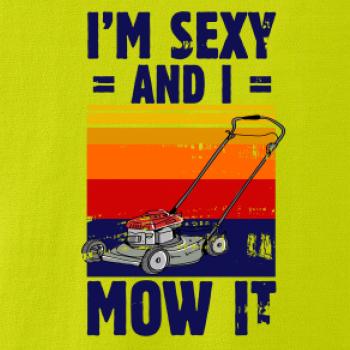 I'm sexy and i mow it