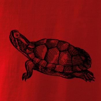 Ceruzkou kreslená korytnačka