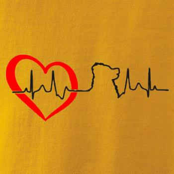 Bernský salašnický pes EKG