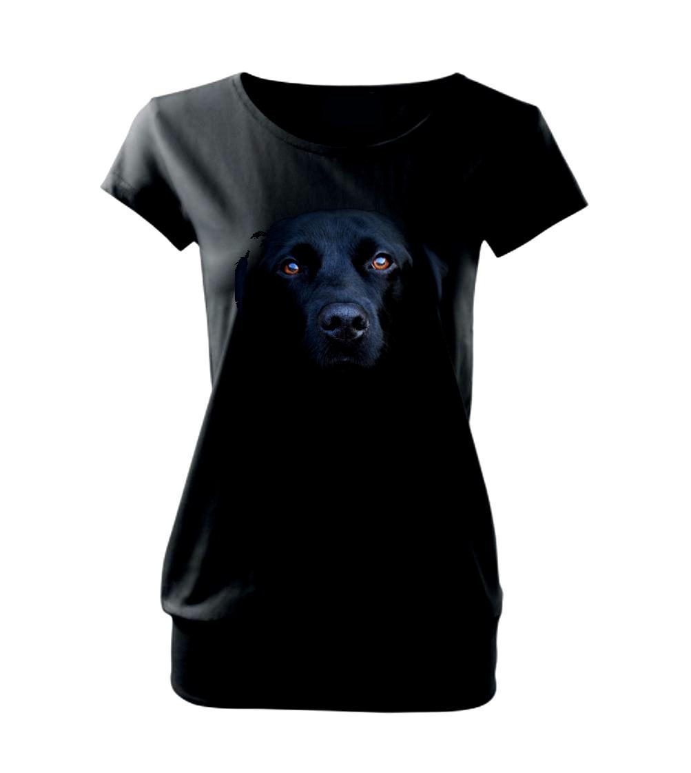 Čierny Labrador fotka Čierny Labrador fotka