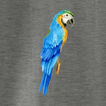 Ara modrá kreslená