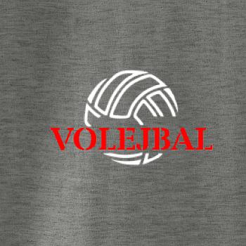 Volejbal lopta