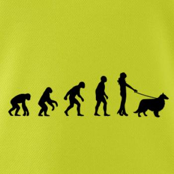 Evolúcia pes Šeltia (muž-žena)