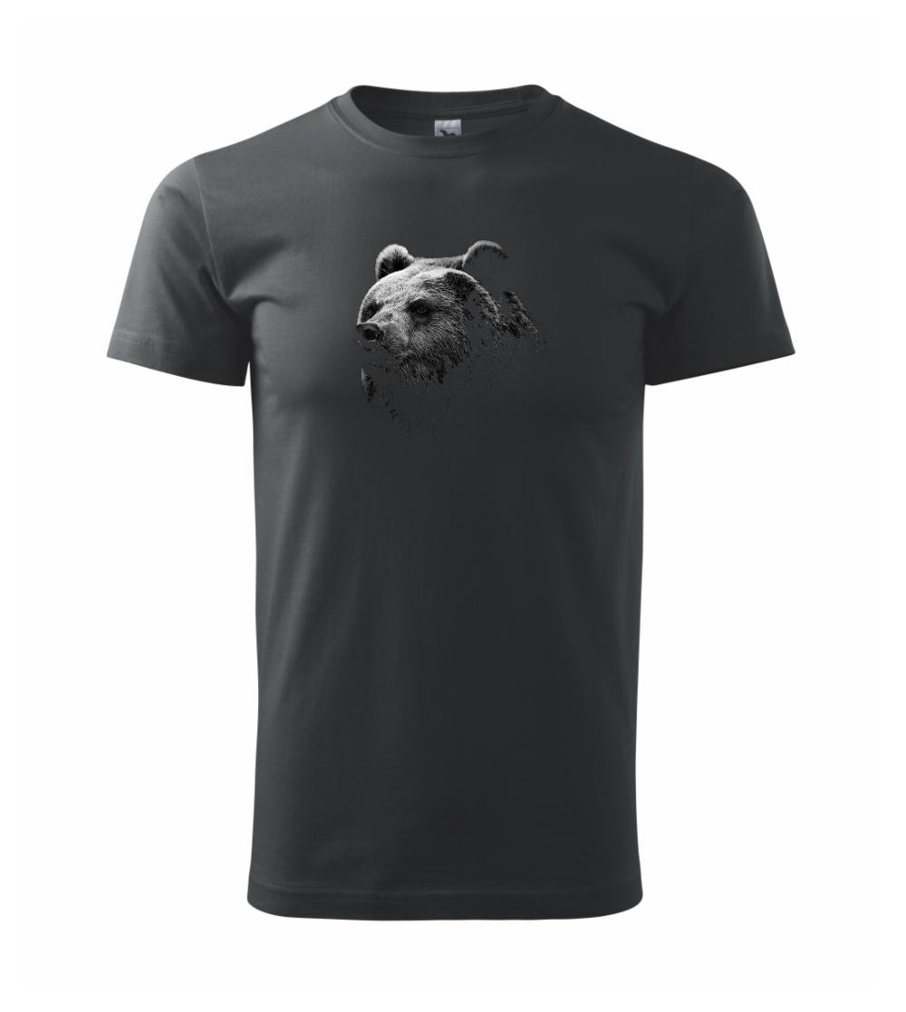 Medveď fotka Medveď fotka