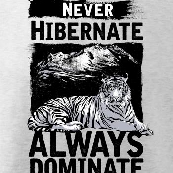 Never Hibernate