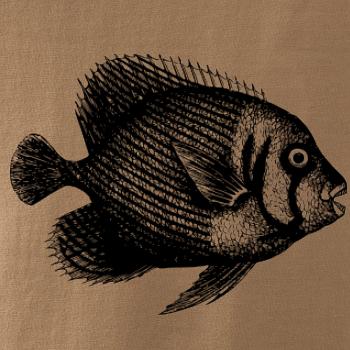 Morská ryba kreslená Morská ryba kreslená