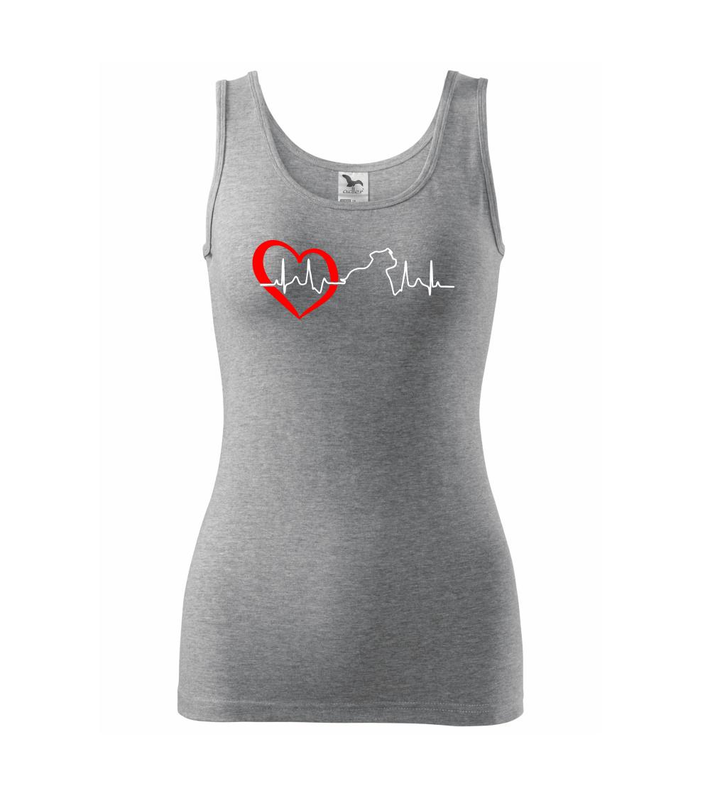 Stafordšírsky bulteriér  EKG Stafordšírsky bulteriér  EKG