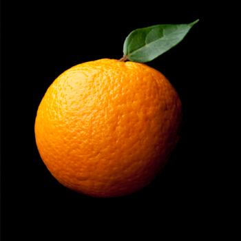Pomaranč foto