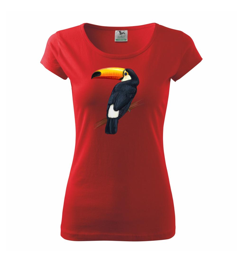 Tukan kreslený Tukan kreslený