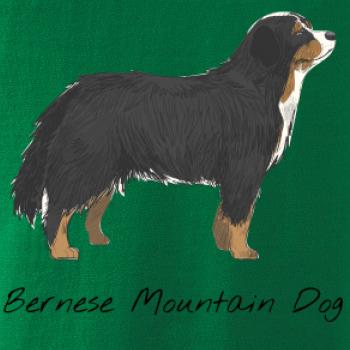 Bernese mountain dog kreslený