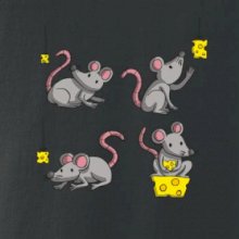 Myš a sýr Myš a sýr