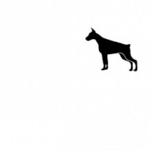 Doberman ikona prsník