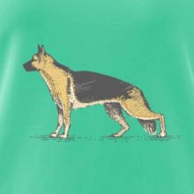 Vintage German shepherd