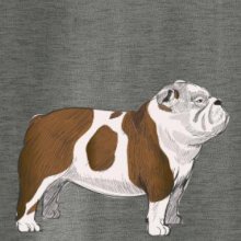 Vintage English bulldog