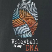 Volejball is my DNA