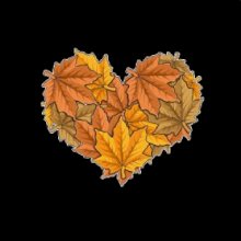 Láska k podzimu Láska k podzimu