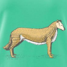 Vintage Collie Vintage Collie