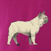 Vintage French bulldog