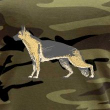 Vintage German shepherd