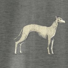 Vintage Whippet