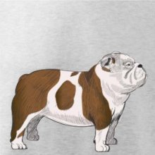 Vintage English bulldog