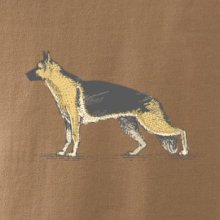 Vintage German shepherd