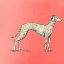 Vintage Whippet Vintage Whippet