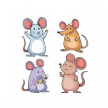 Barebné myši Barebné myši