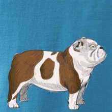 Vintage English bulldog