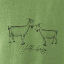 Velké kozy
